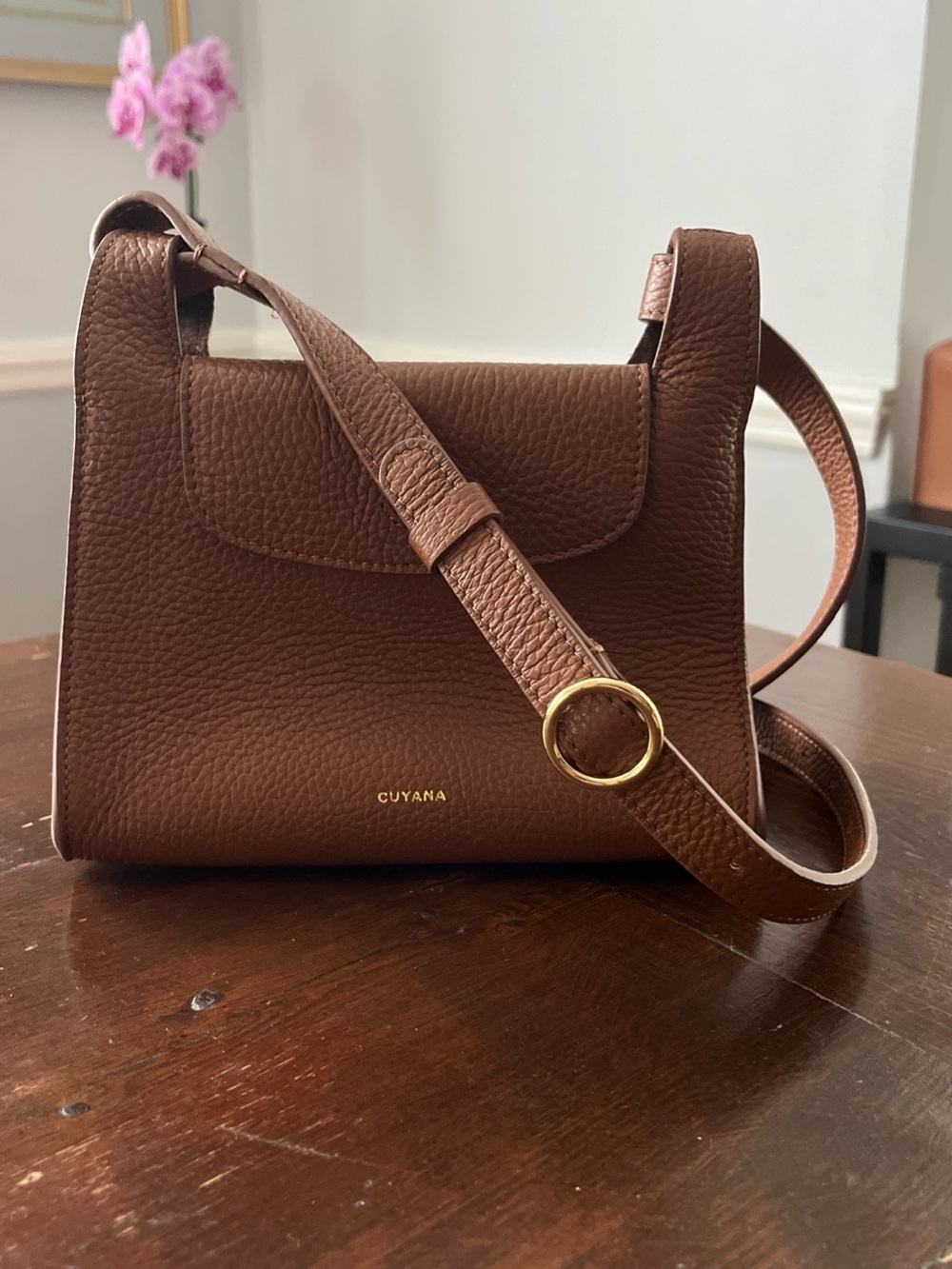 Cuyana Women’s Mini Double Loop Bag In Chestnut Brown Pebble Leather $298